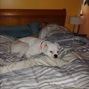 Meet your Posher, Celeste